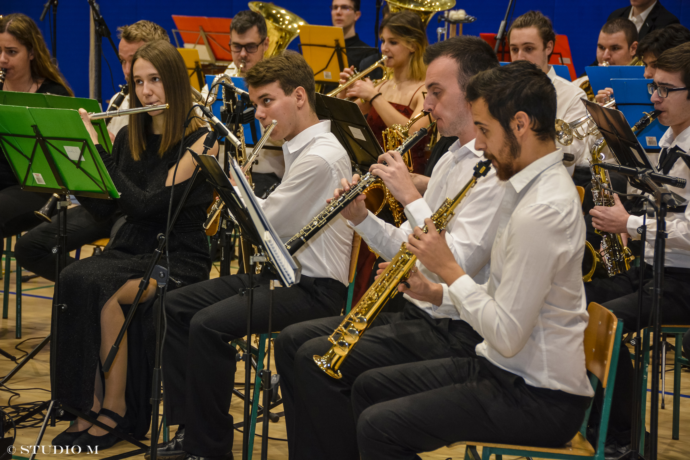 DSC0911 D. Kraljevec blagdanski koncert Hunay Jeno studiom.hr