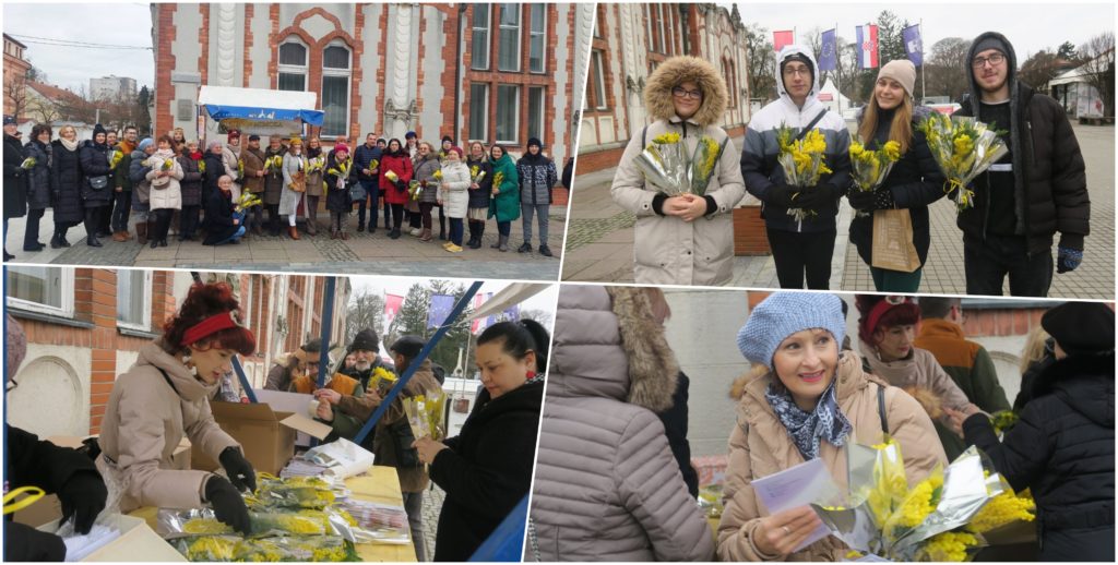 Dan mimoza, Čakovec / Foto: Međimurska županija