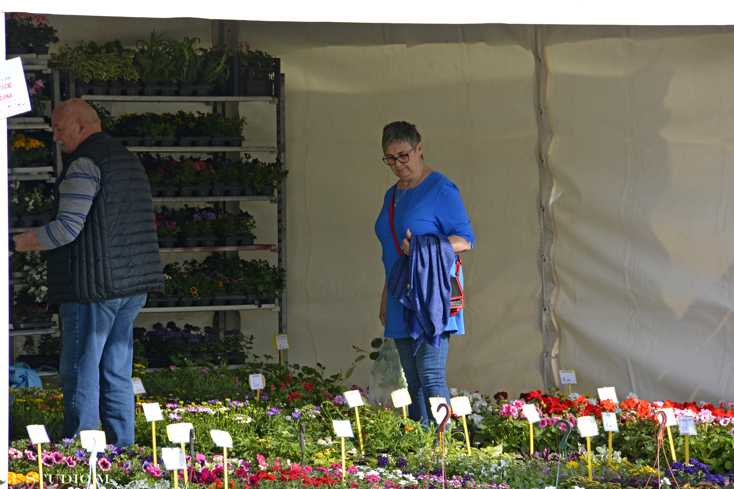DSC6349 Sajam cvijeca Prelog www.studiom.hr