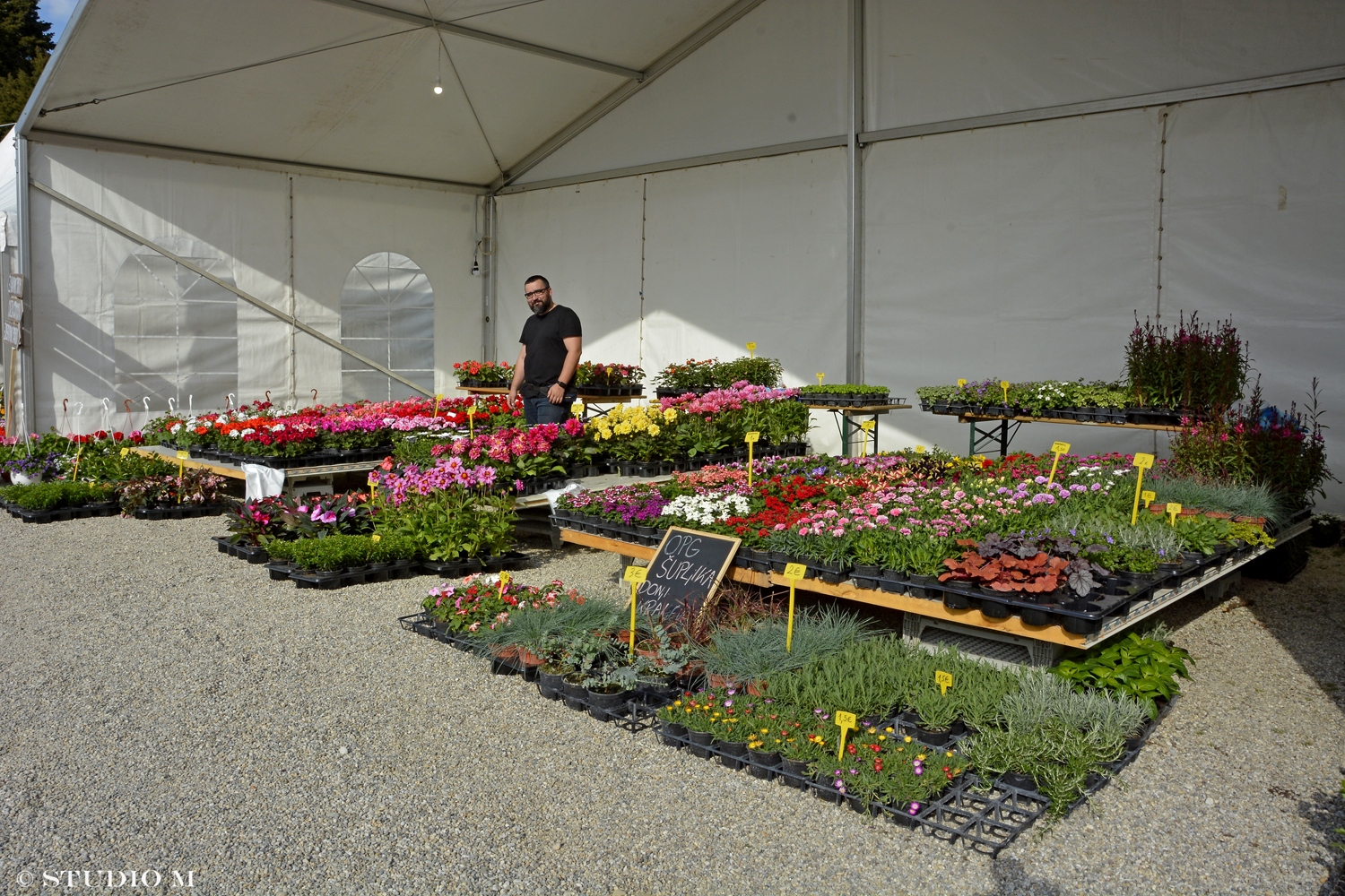 DSC6364 Sajam cvijeca Prelog www.studiom.hr