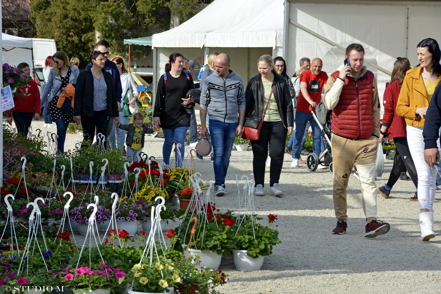DSC6383 Sajam cvijeca Prelog www.studiom.hr