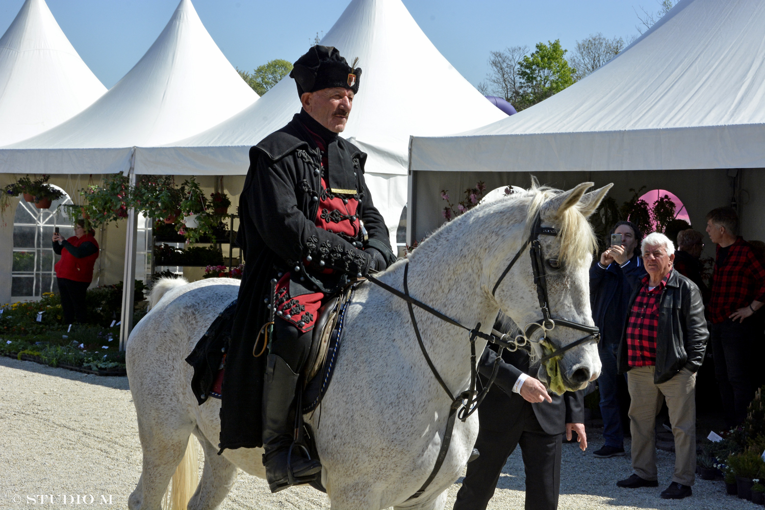 DSC6583 Sajam cvijeca Prelog www.studiom.hr