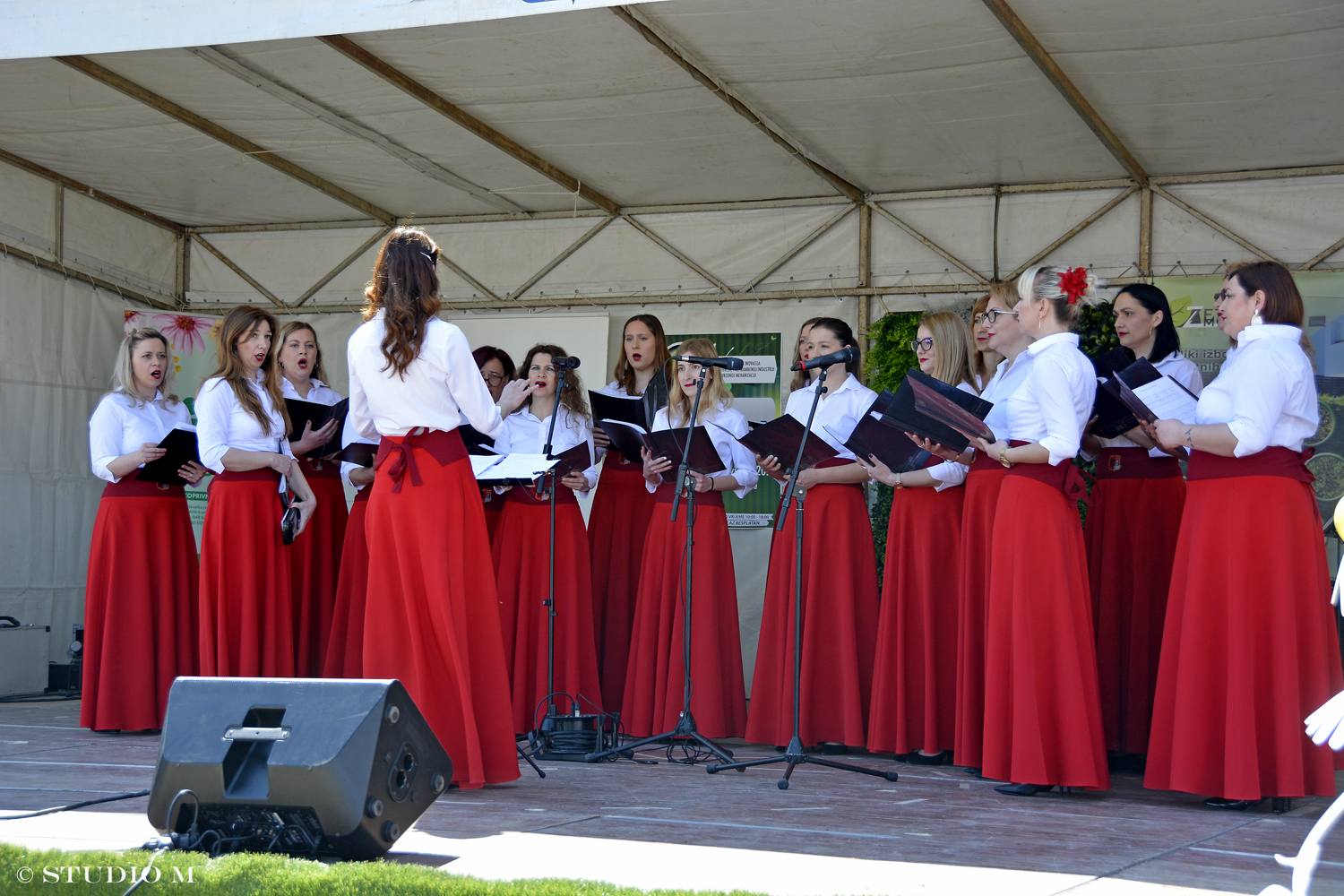 DSC6640 Sajam cvijeca Prelog www.studiom.hr