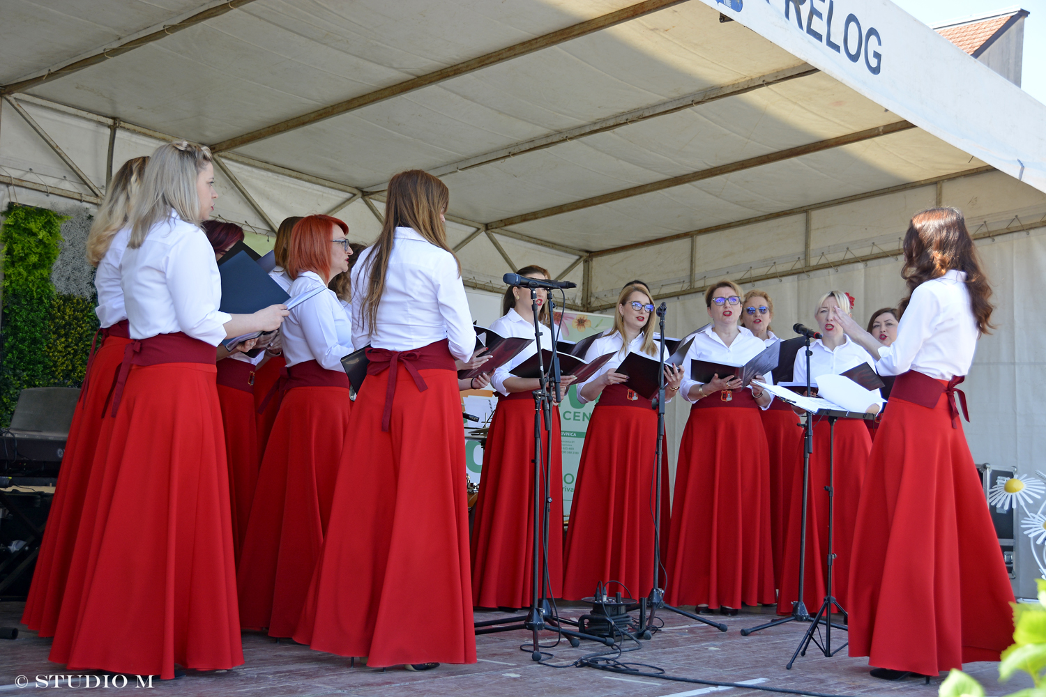 DSC6643 Sajam cvijeca Prelog www.studiom.hr