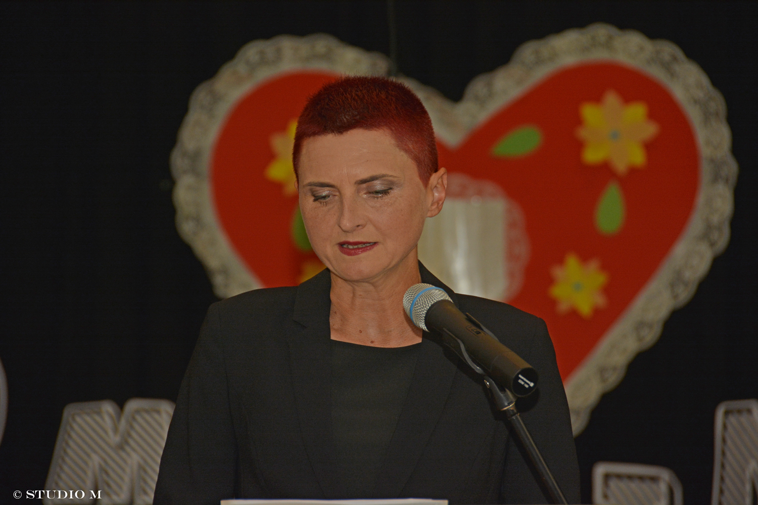 DSC0445Svecana sjednica Domasinec studiom.hr