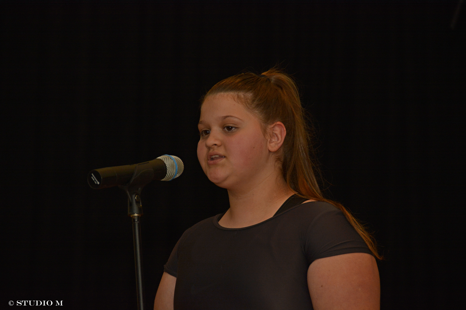 DSC0477 Svecana sjednica Domasinec studiom.hr