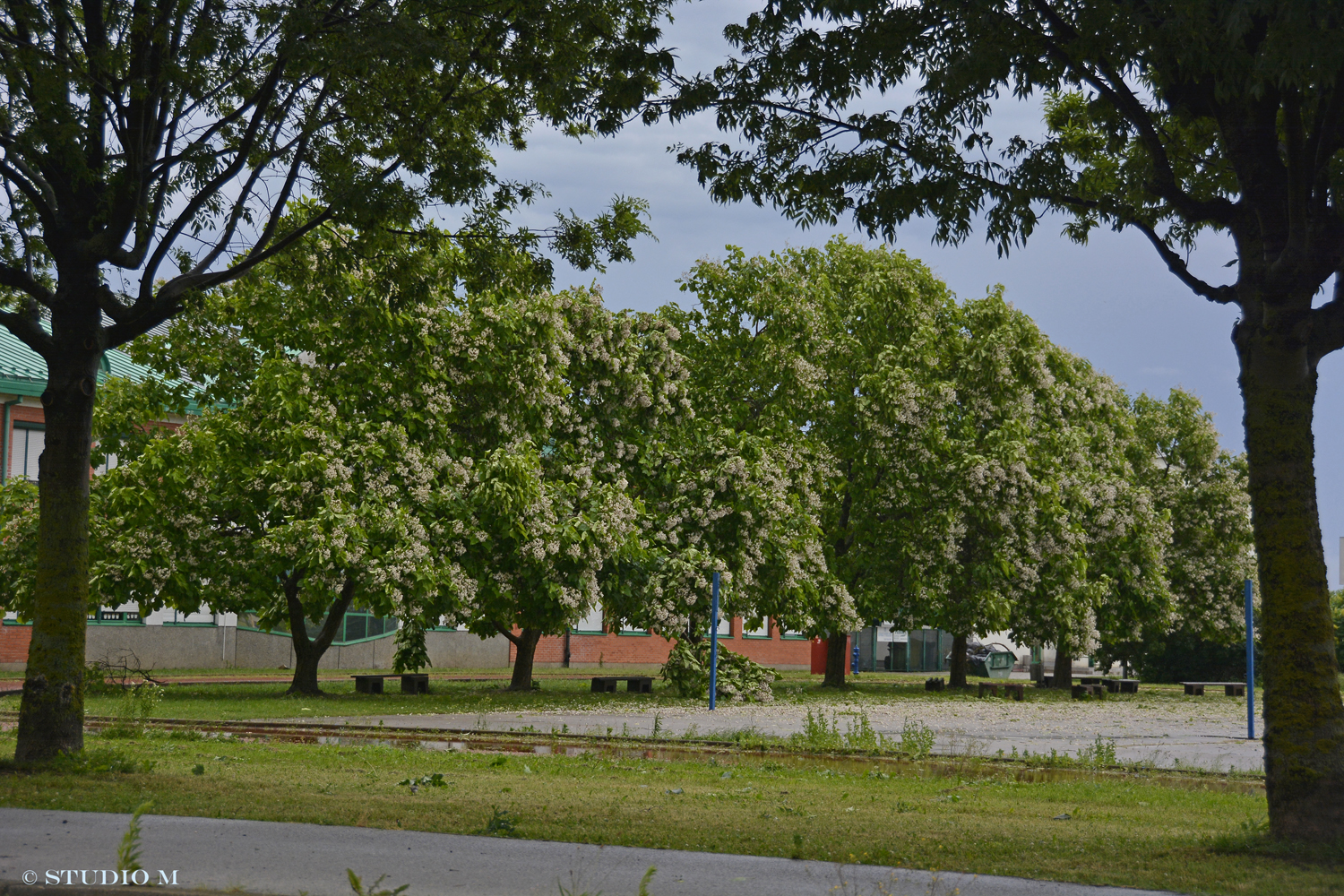 DSC3583 Nevrijeme u Medimurju studiom.hr