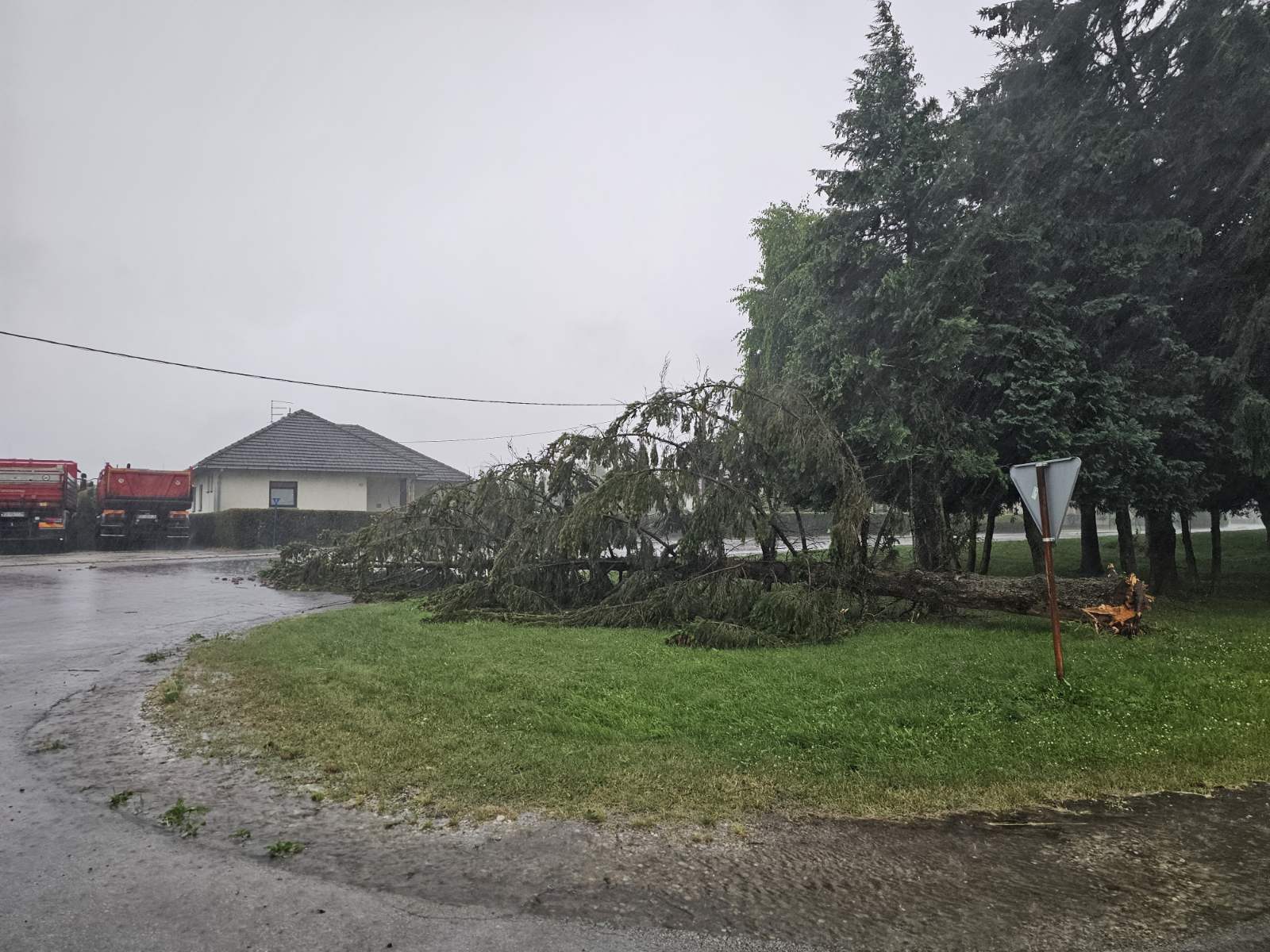 viber image 2023 06 23 17 57 49 538