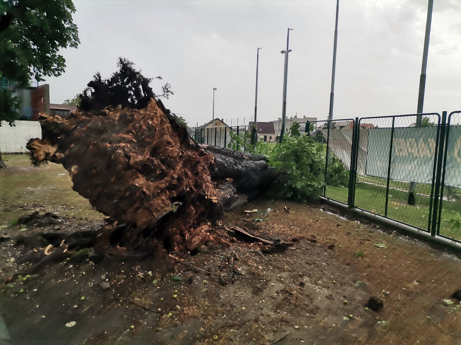 viber image 2023 06 23 18 16 33 243