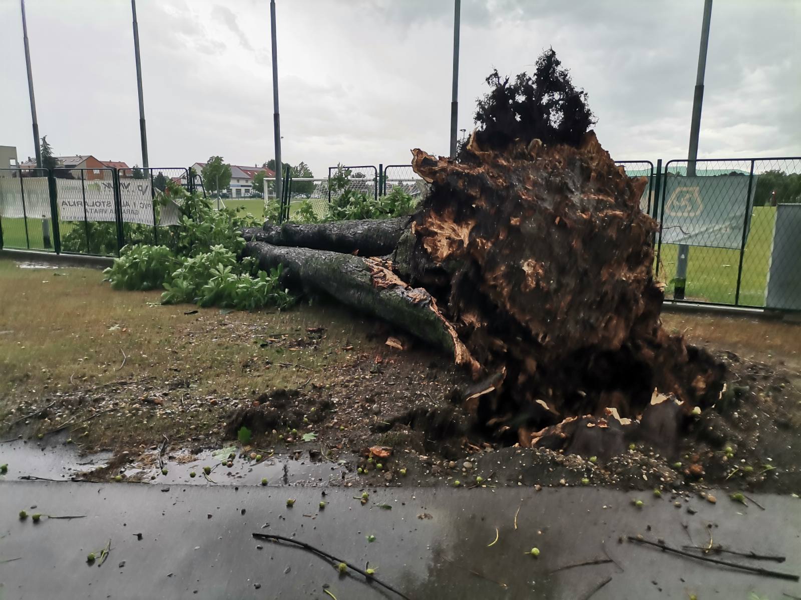 viber image 2023 06 23 18 16 33 302