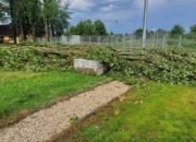 viber image 2023 06 23 19 29 42 469