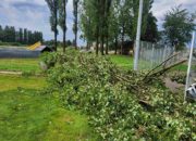 viber image 2023 06 23 19 29 43 013