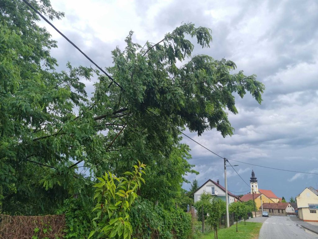 viber image 2023 06 23 20 11 34 963