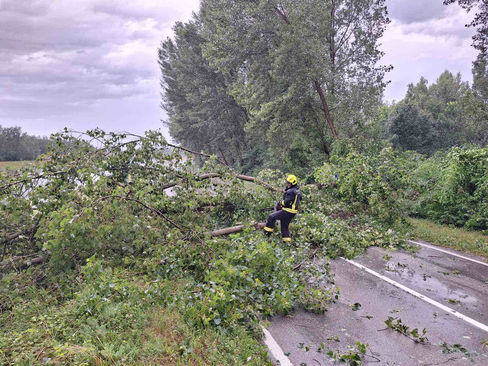 viber image 2023 06 23 21 47 45 928