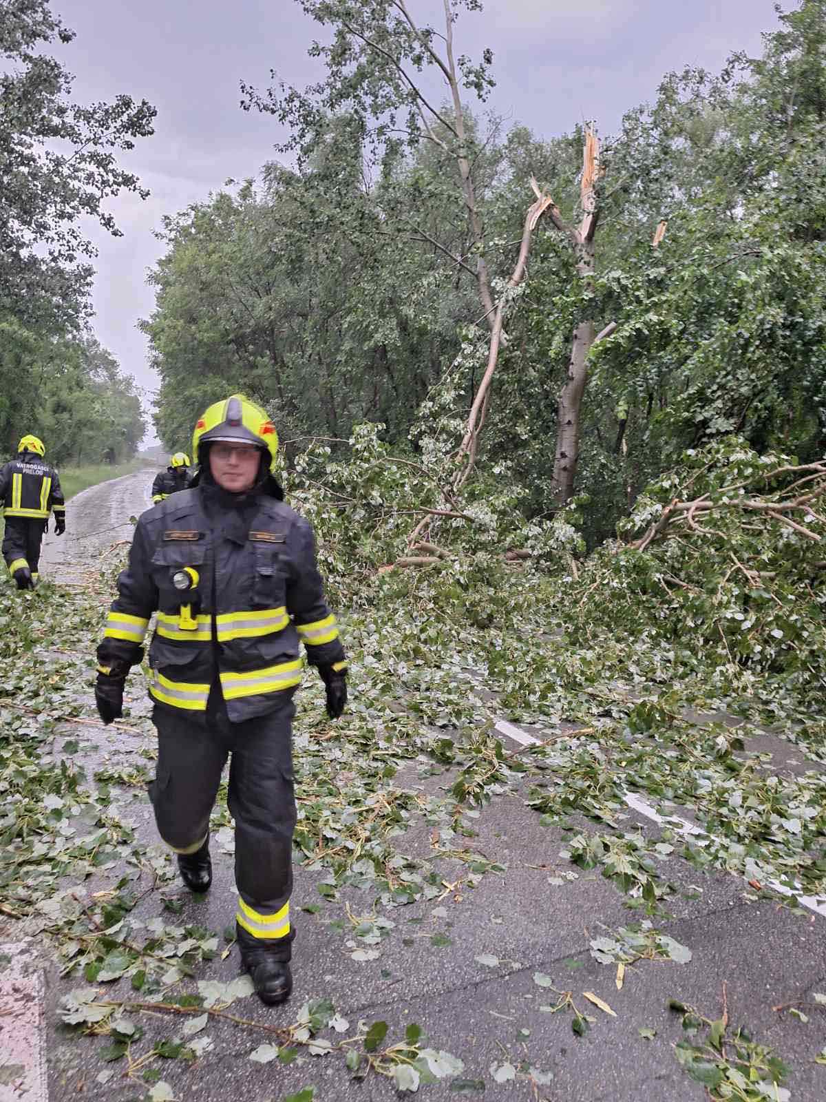 viber image 2023 06 23 21 47 46 332