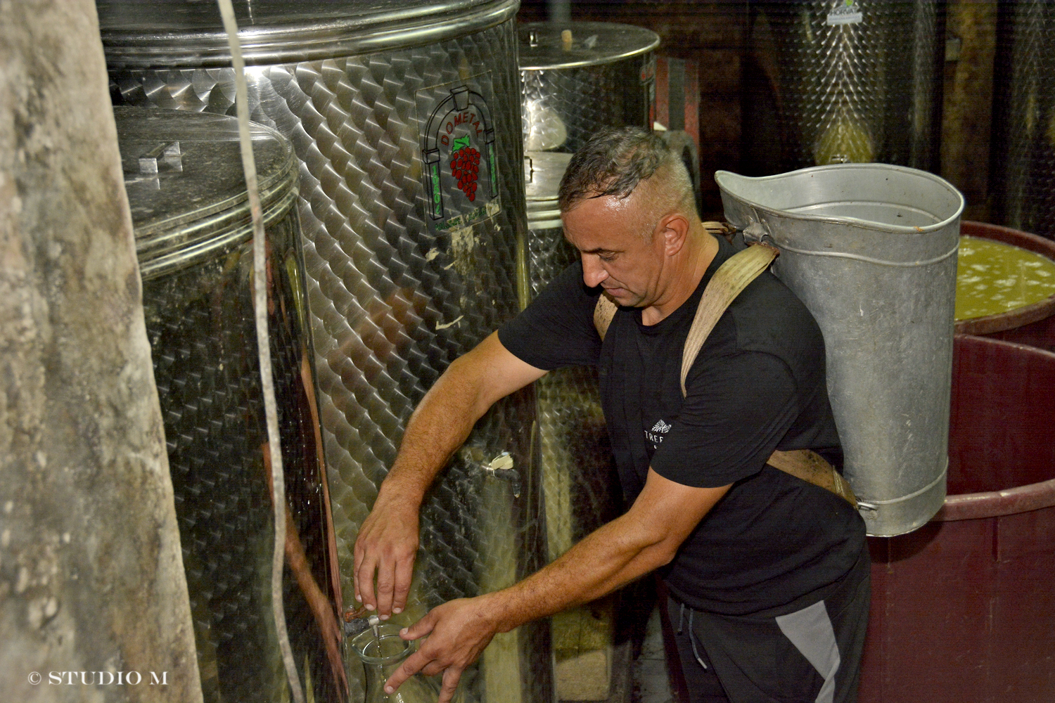 DSC0163 Berba pri Tomasekima www.studiom.hr