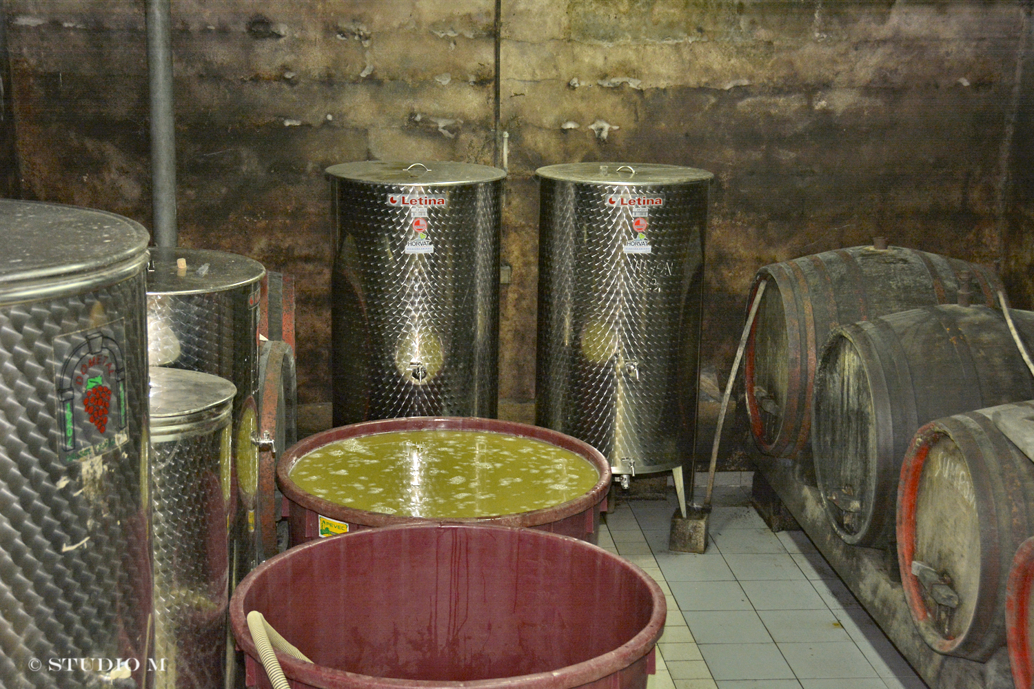 DSC0165 Berba pri Tomasekima www.studiom.hr