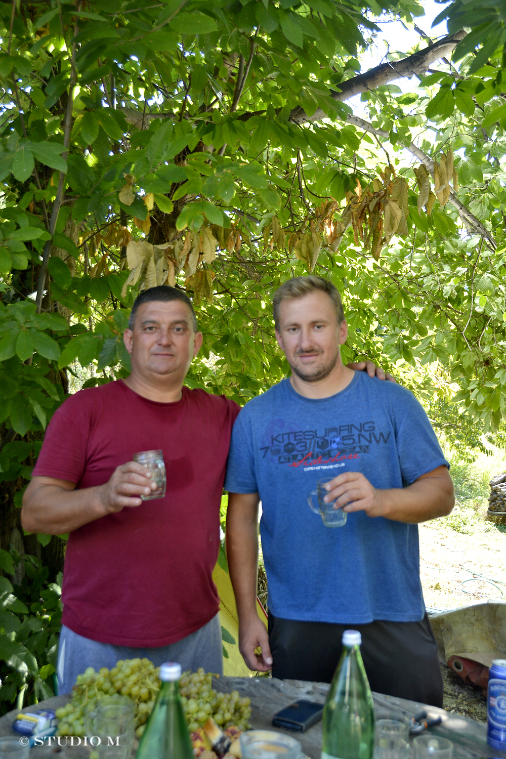 DSC0211 Berba pri Tomasekima www.studiom.hr