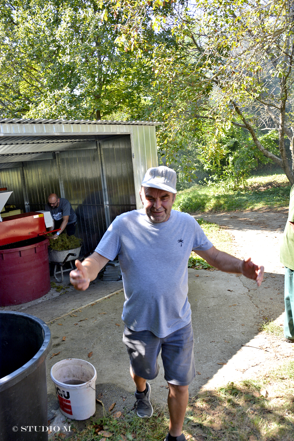 DSC0215 Berba pri Tomasekima www.studiom.hr