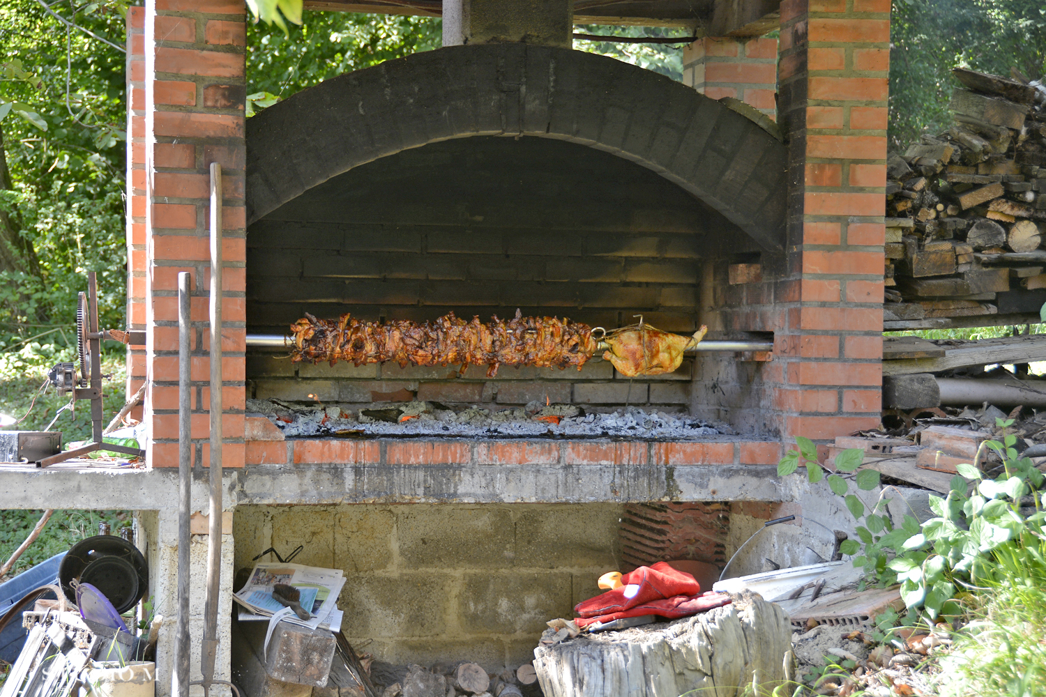 DSC0231 Berba pri Tomasekima www.studiom.hr