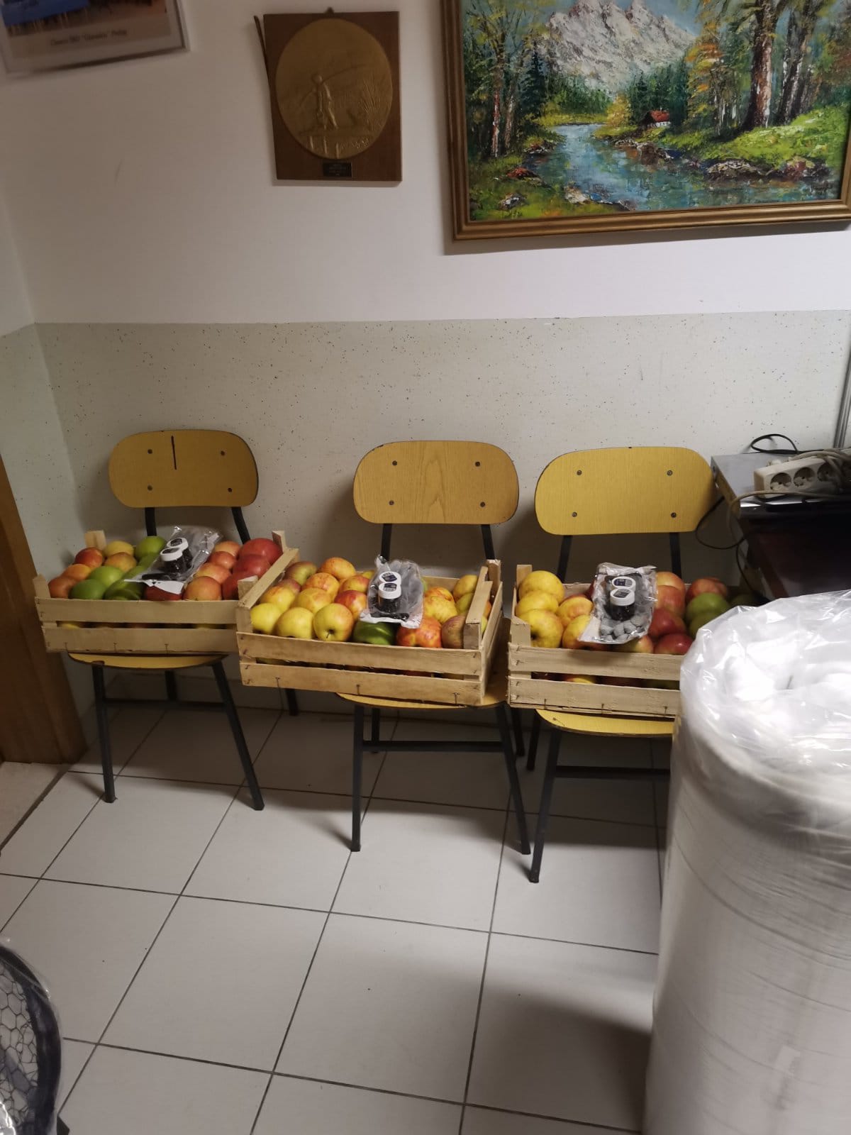 Glavatica Kup Grada Preloga studiom.hr 6