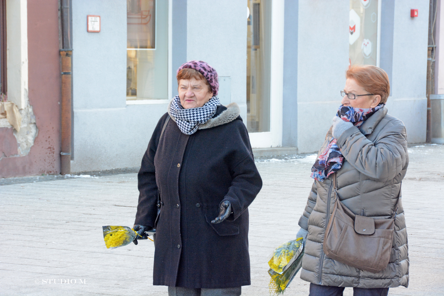 CK Dan Mimoza studiom.hr DSC 1692