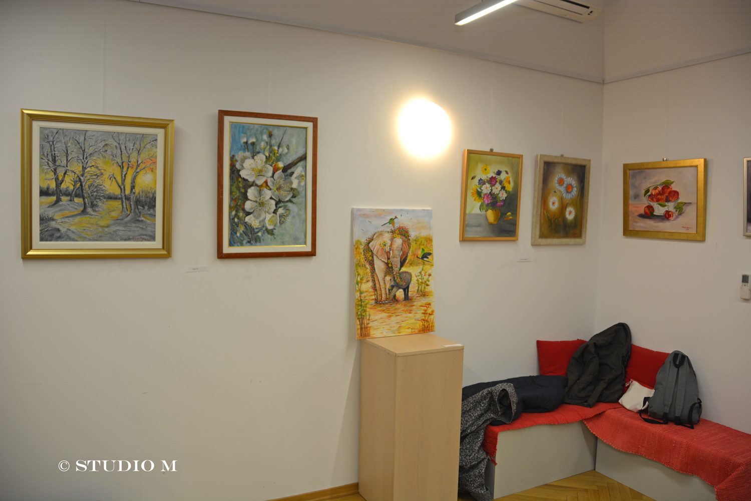 Croata insulanus Izlozba Dan zena studiom.hr DSC 5188
