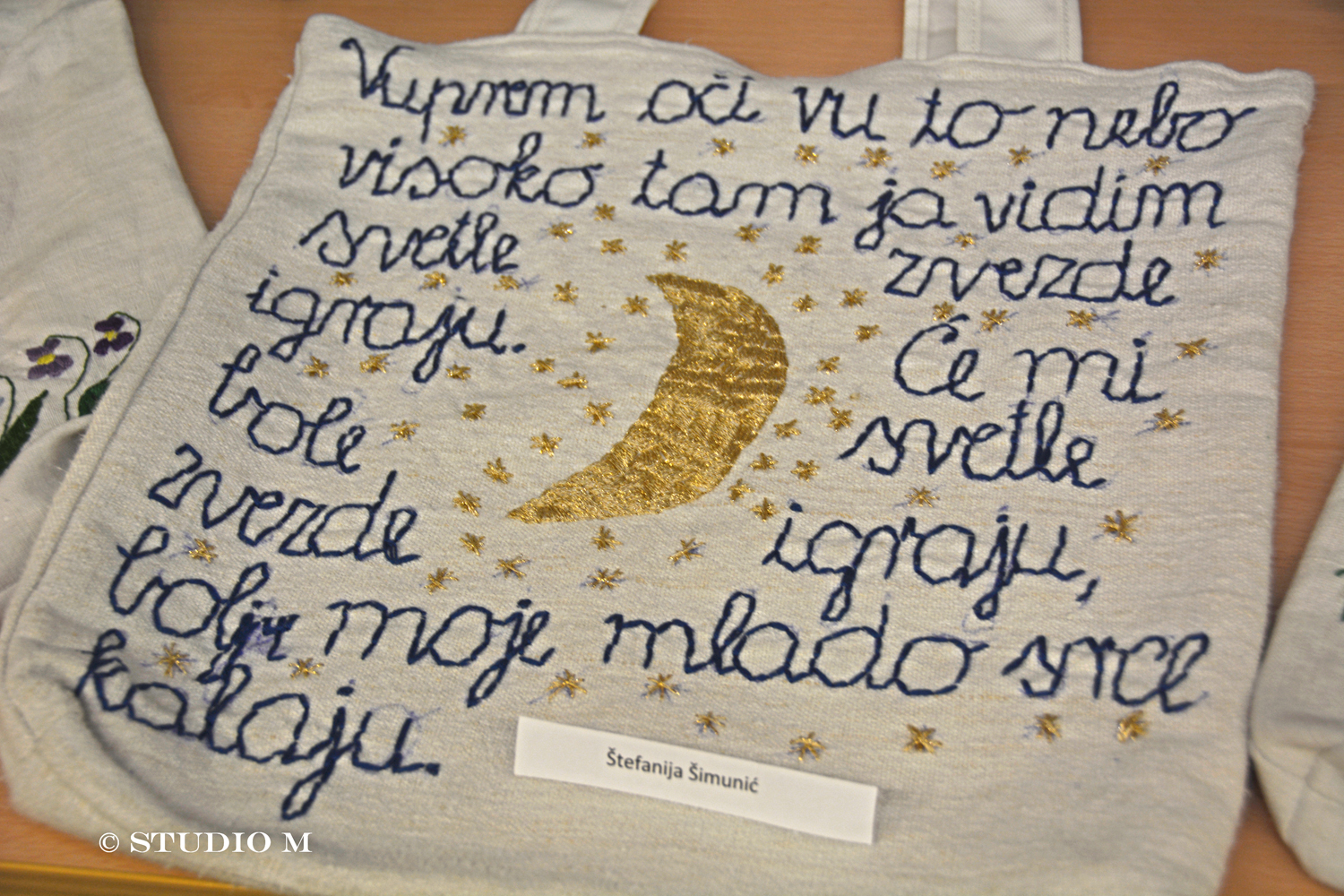 Croata insulanus Izlozba Dan zena studiom.hr DSC 5192