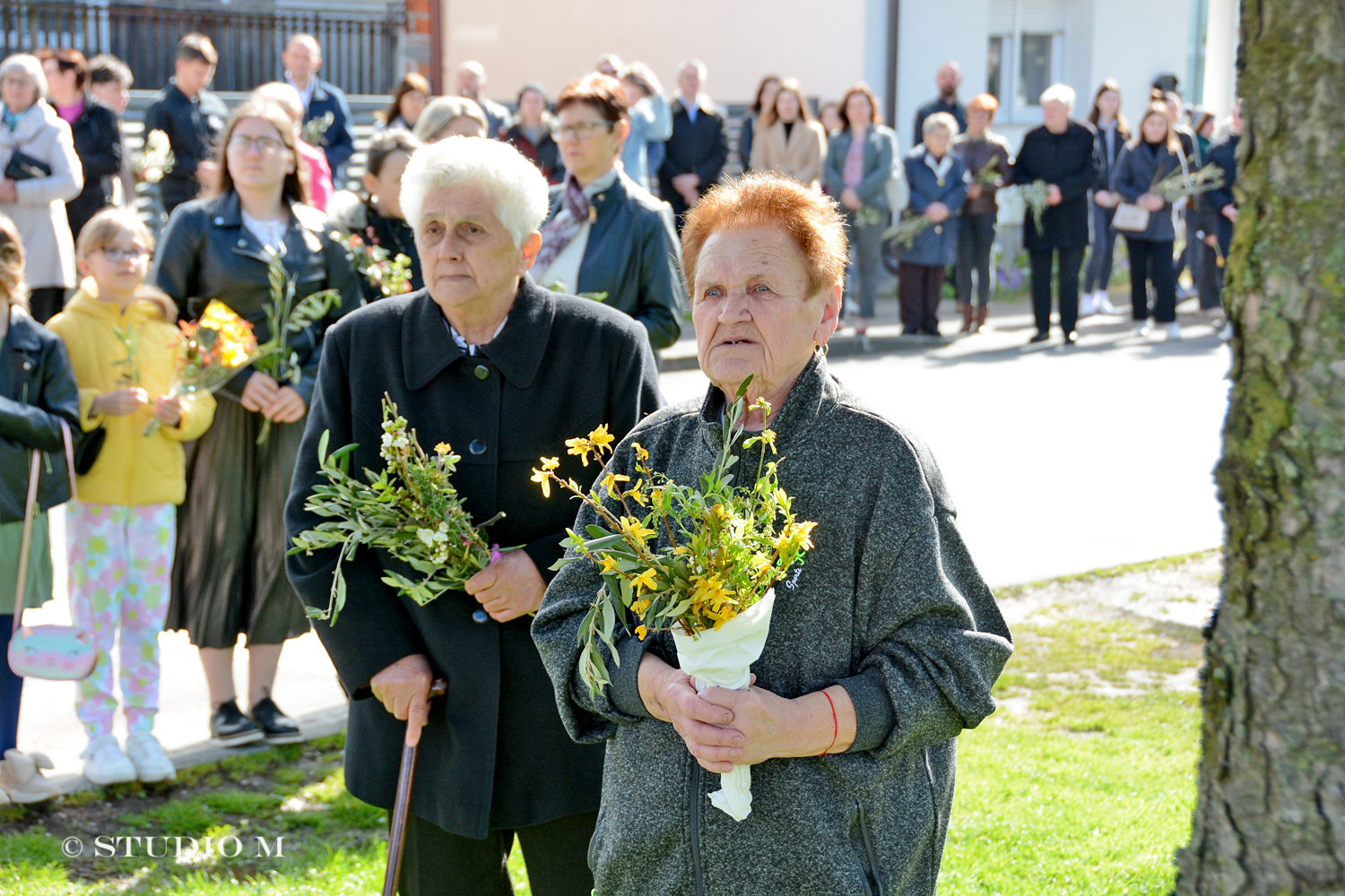 DSC 5601 Cvjetnica Prelog www.studiom.hr