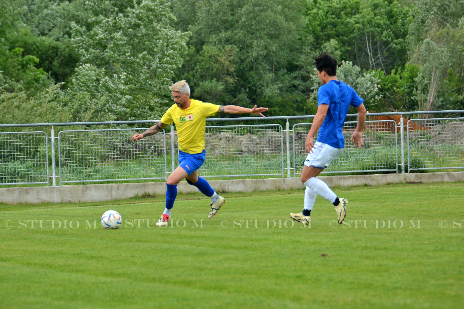 DSC 7176 Brazil Japan Cirkovljan www.studiom.hr