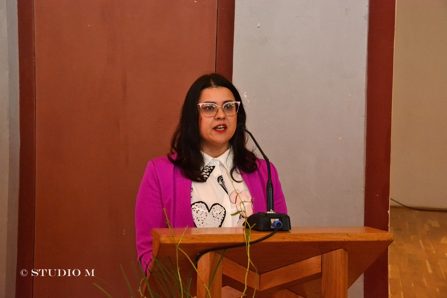 DSC 8344 Svjetski dan kulturne raznolikosti studiom.hr