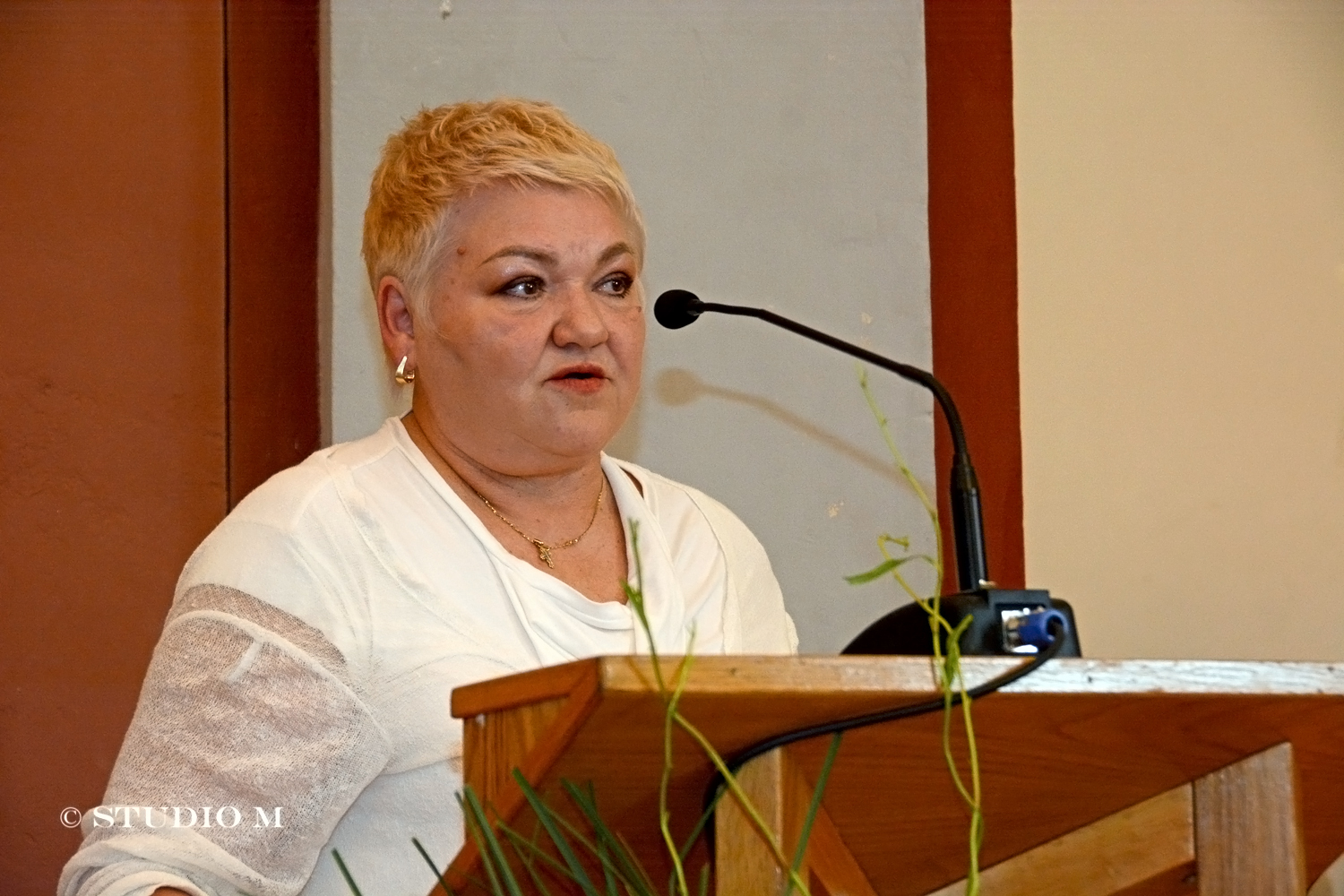 DSC 8402 Svjetski dan kulturne raznolikosti studiom.hr