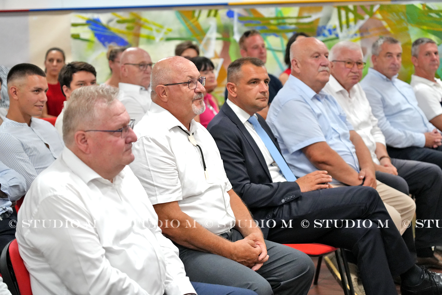 DSC08547 D.Dubrava svecana sjednica studiom.hr