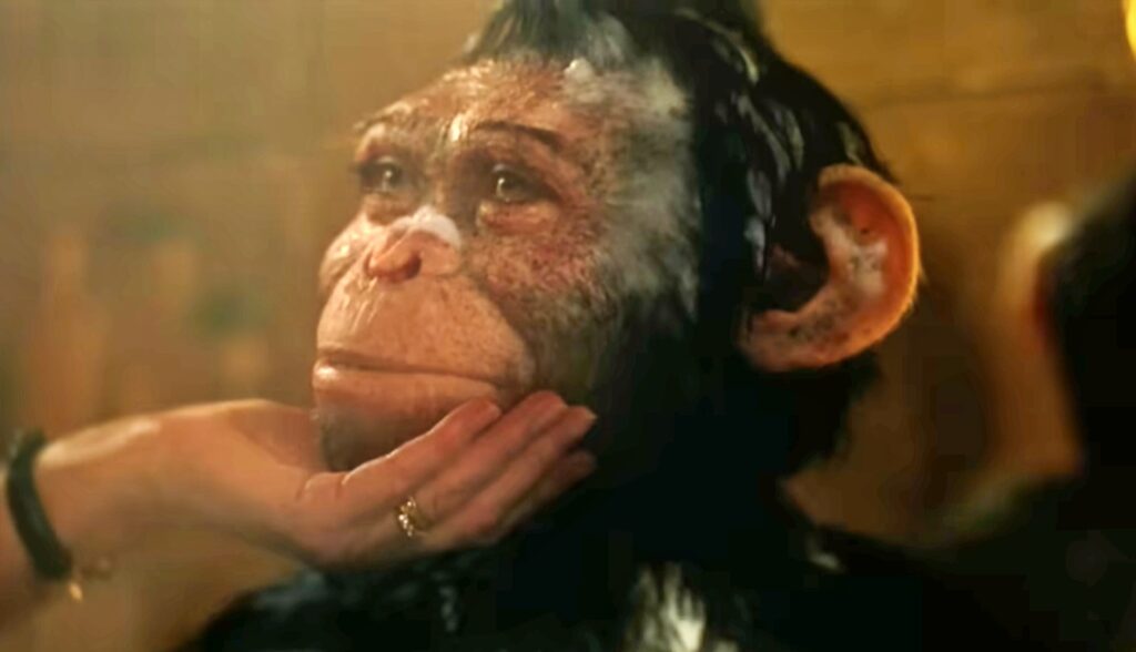 Robbie Williams, Forbidden Road / Foto: Screenshot YouTube