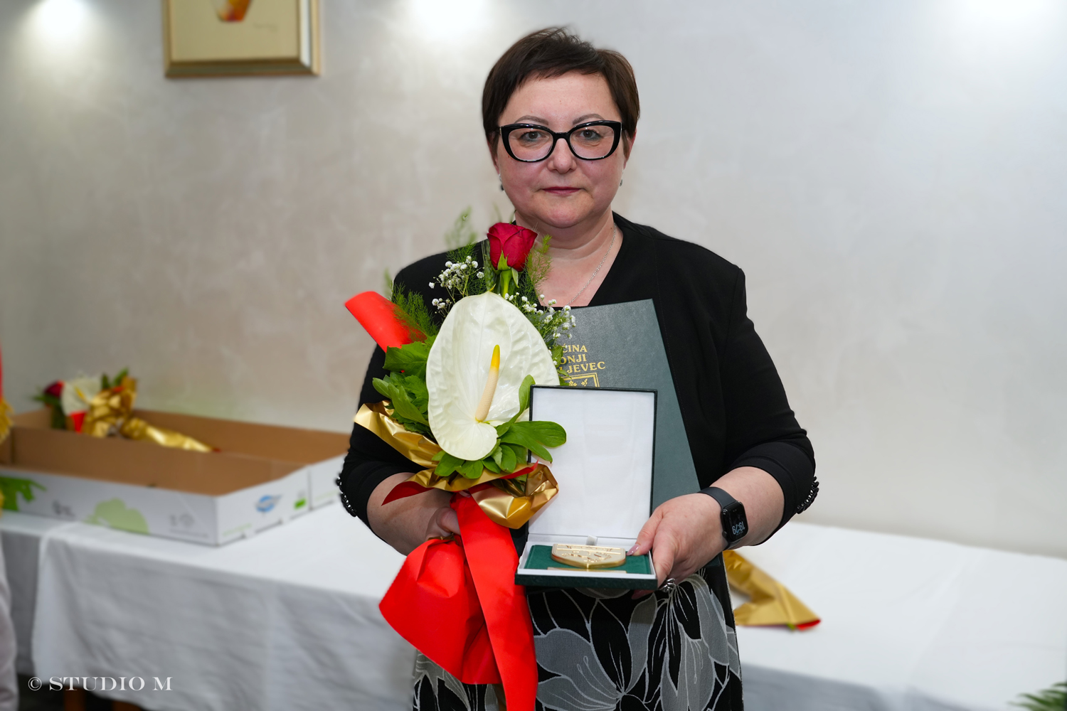Dani Opcine DK 2025 Svecana sjednica Studio M 3