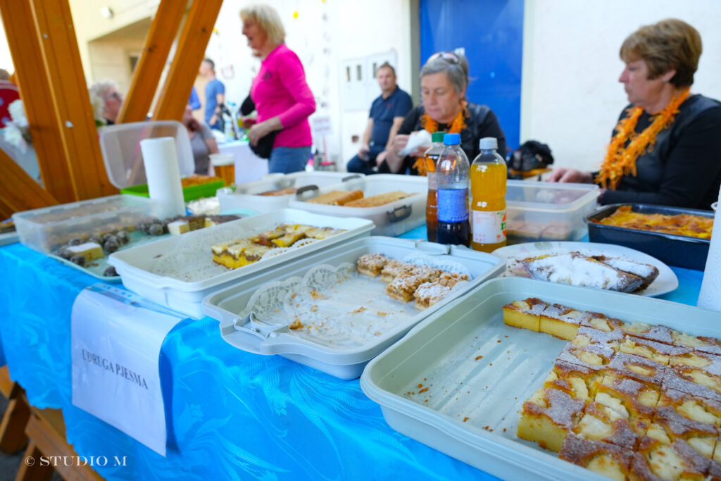 Donji Kraljevec Udruge i koncert 2025 Studio M 7