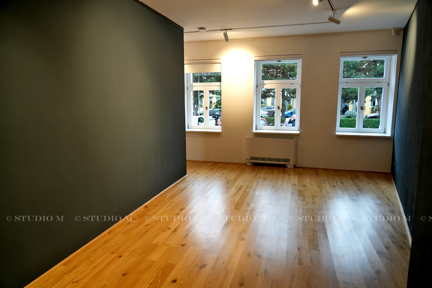 DSC04980 Kuca LK Medimurca studiom.lhr