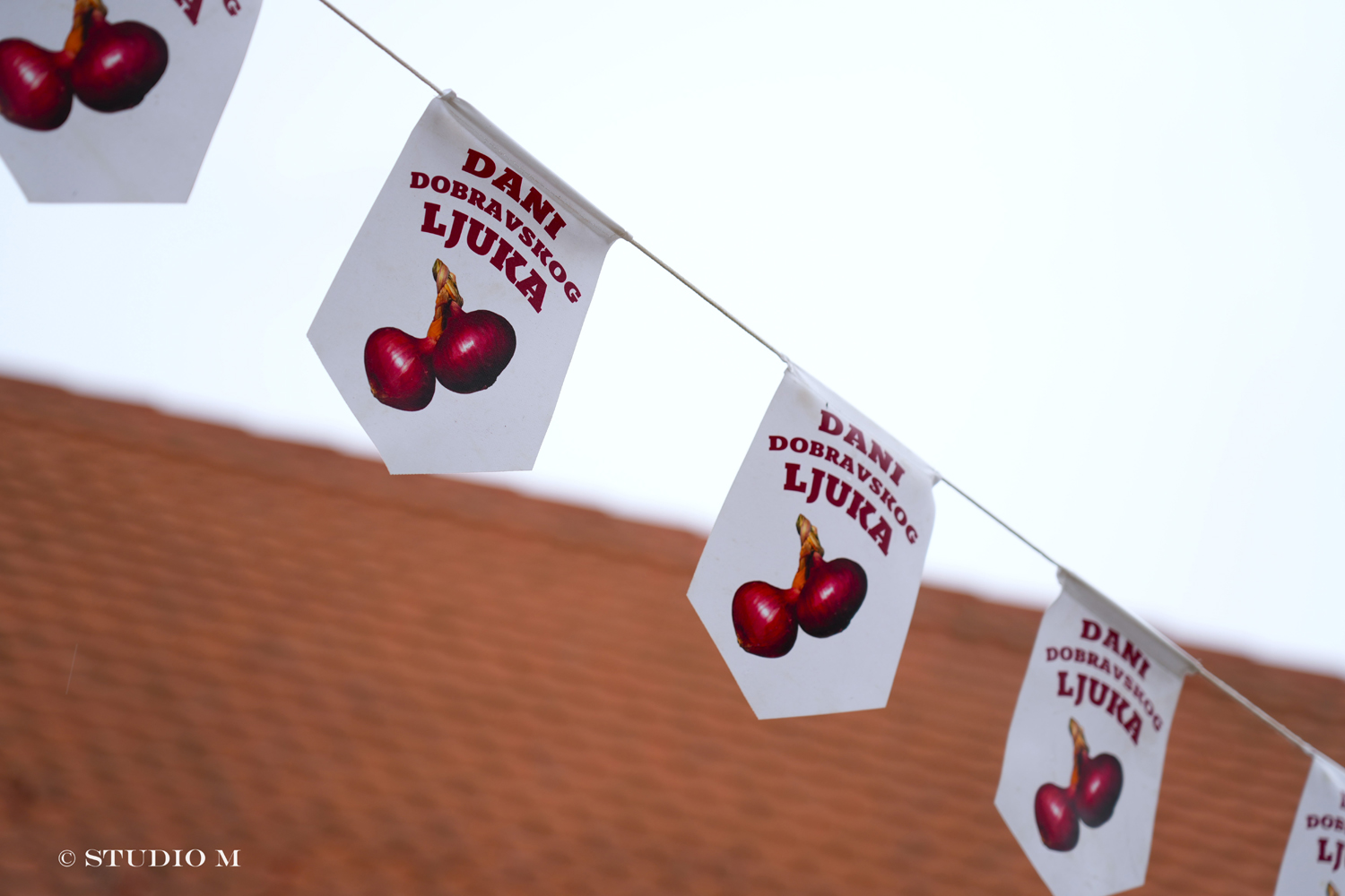 Tradicija bez granica Donja Dubrava 2025 Studio M 38