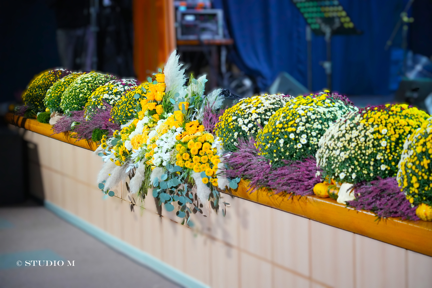 Kre Mure i Drove 2025 Studio M 57