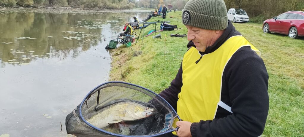 viber slika 2025 10 26 15 02 28 226