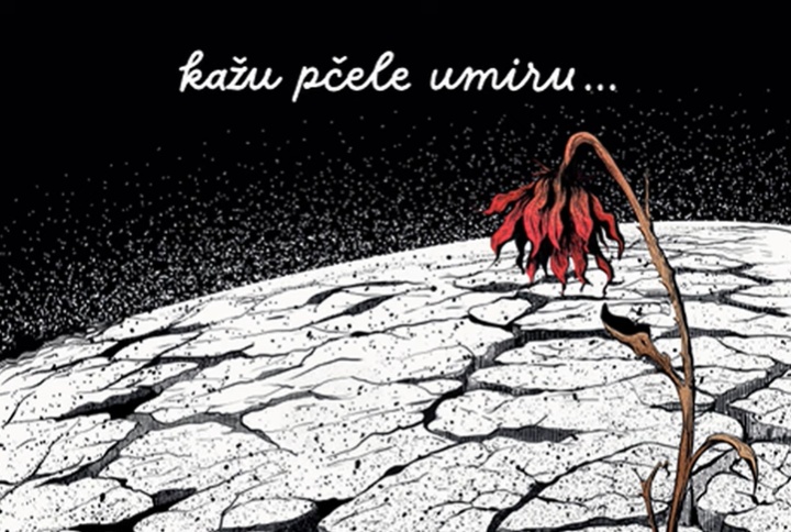 Parni Valjak Danas nisam svoj /