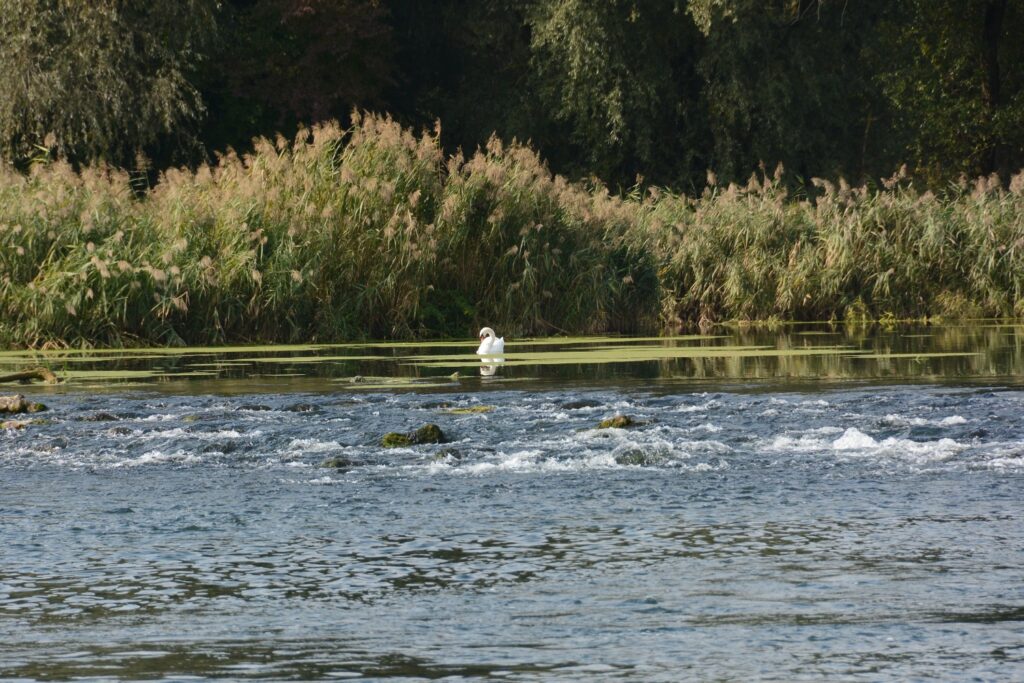 STM 0976 Drava www.studiom.hr
